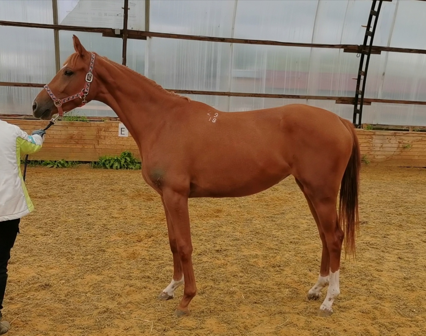Screenshot_20200911_174550.jpg