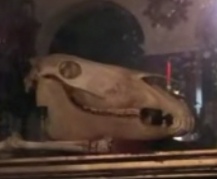 Screenshot_20200930_135956.jpg