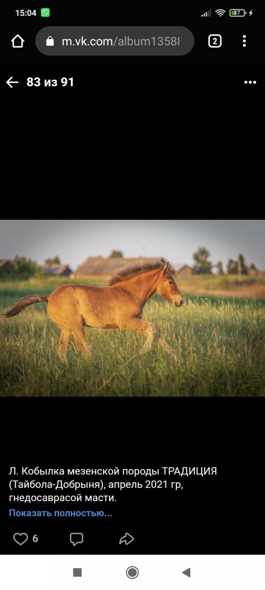 Screenshot_2021-10-09-15-04-36-107_com.android.chrome.jpg