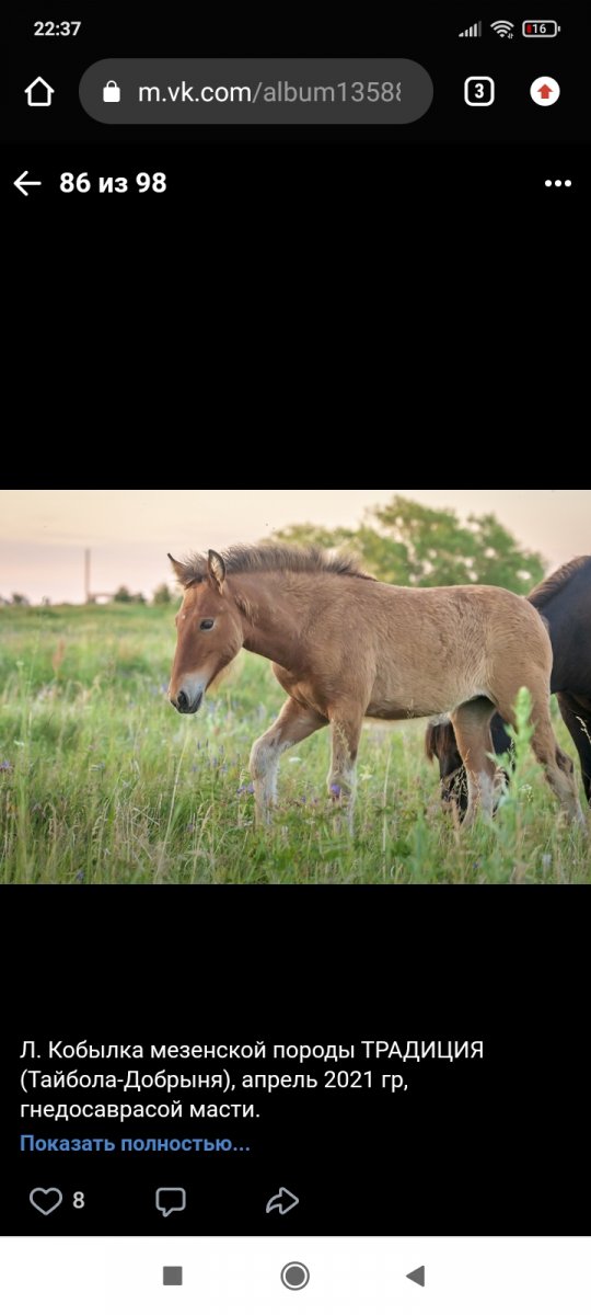 Screenshot_2021-10-13-22-37-30-243_com.android.chrome.jpg