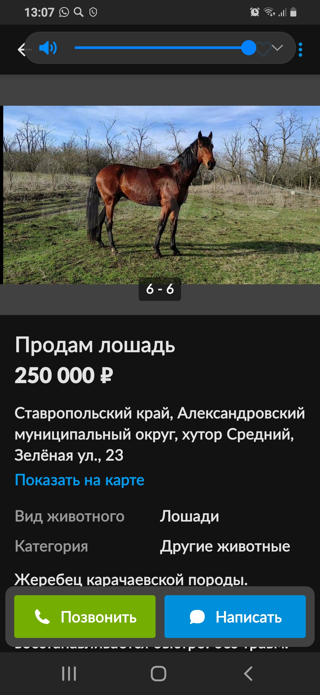 Screenshot_20210210-130714.jpg