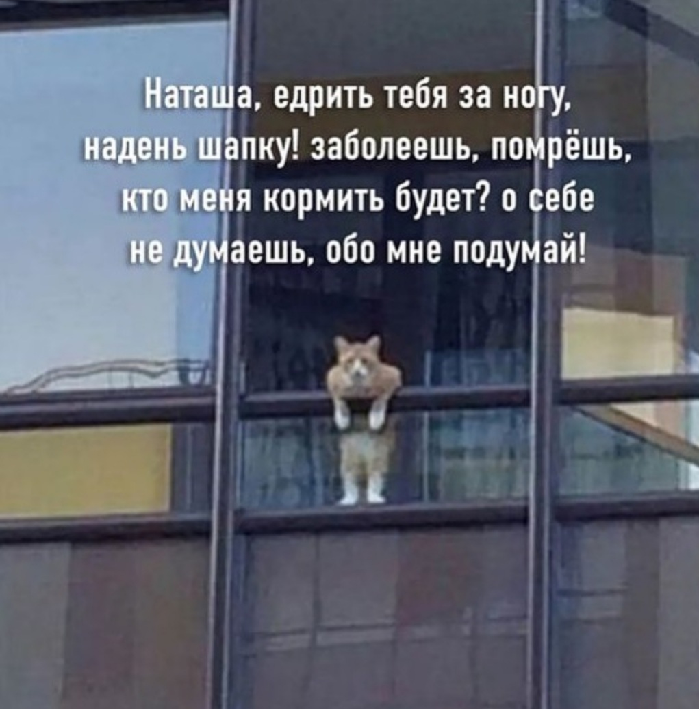Screenshot_20210327-134819_Instagram.jpg