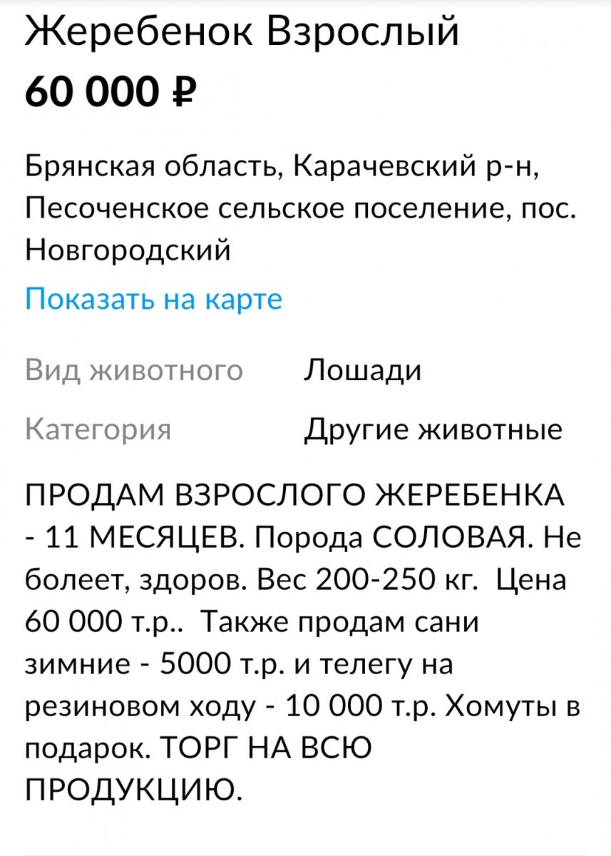 Screenshot_20210407-234103_20-36-08.jpg