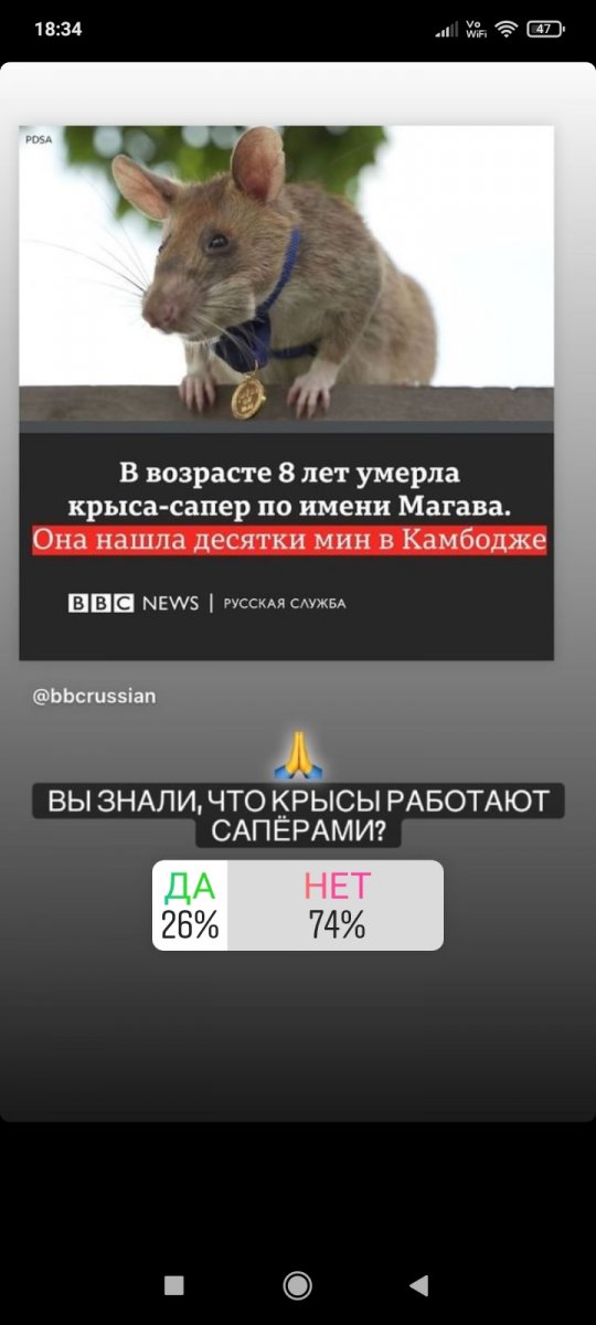 Screenshot_2022-01-12-18-34-07-741_com.instagram.android.jpg