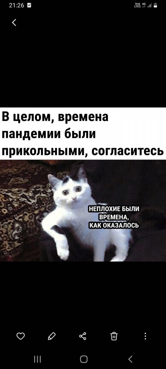 Screenshot_20220225-212627_Gallery.jpg
