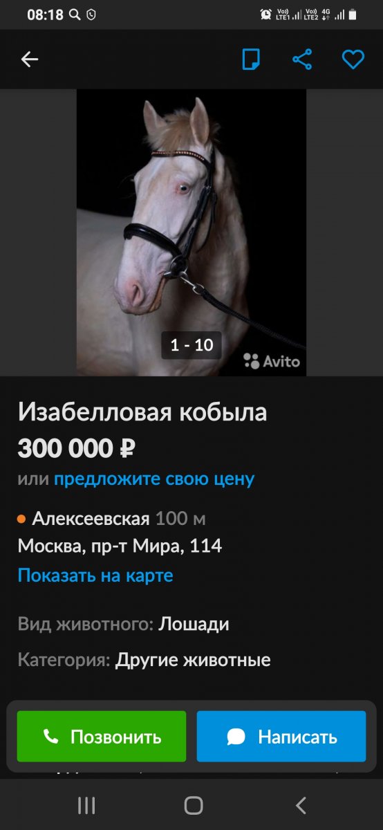 Screenshot_20220321-081816.jpg