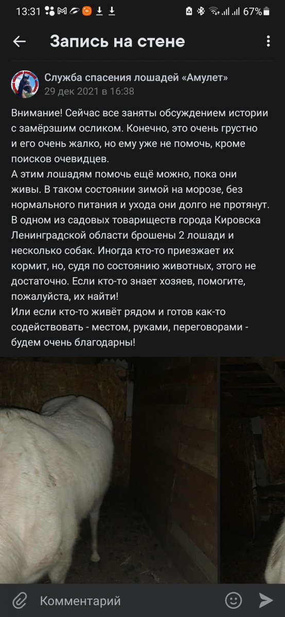 Screenshot_20220331-133142_VTosters.jpg