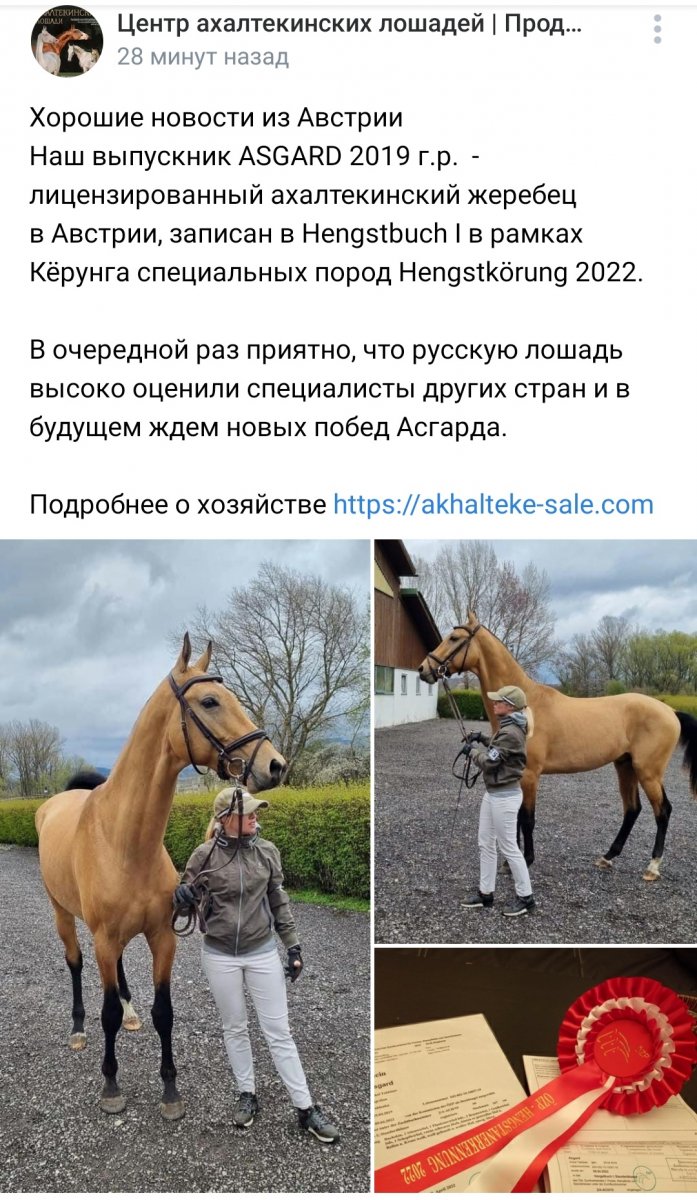 Screenshot_20220410-182013.jpg