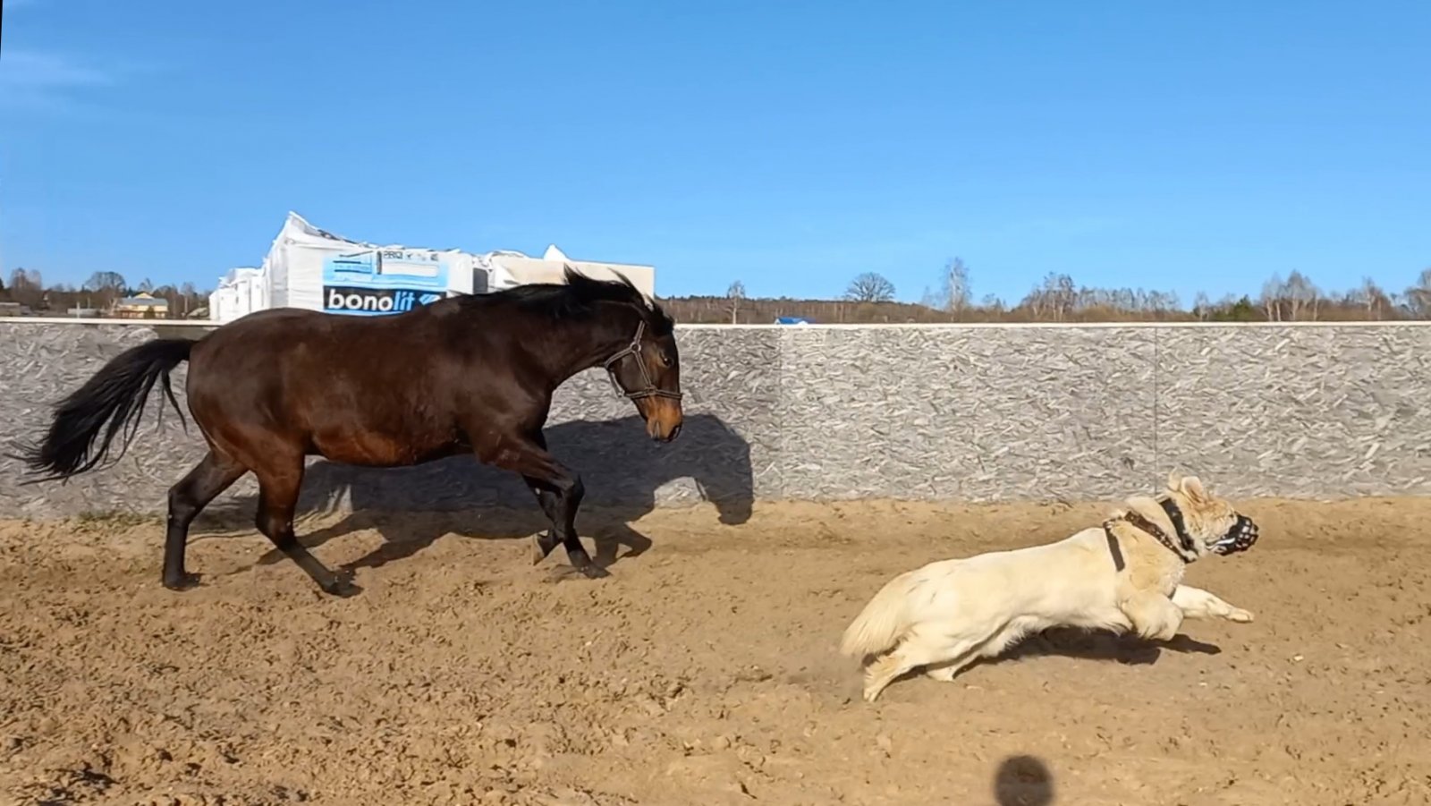 Screenshot_20220414-202457_Video Player.jpg