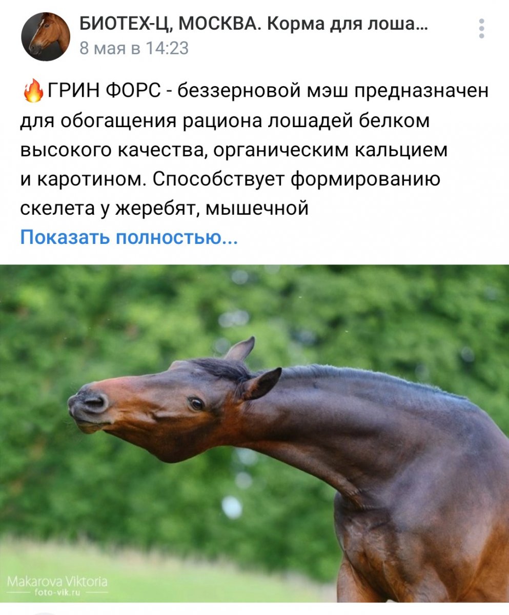 Screenshot_20220511-085803_VK.jpg