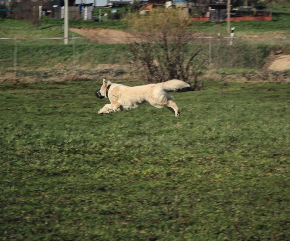Screenshot_20220512-122219_Gallery.jpg