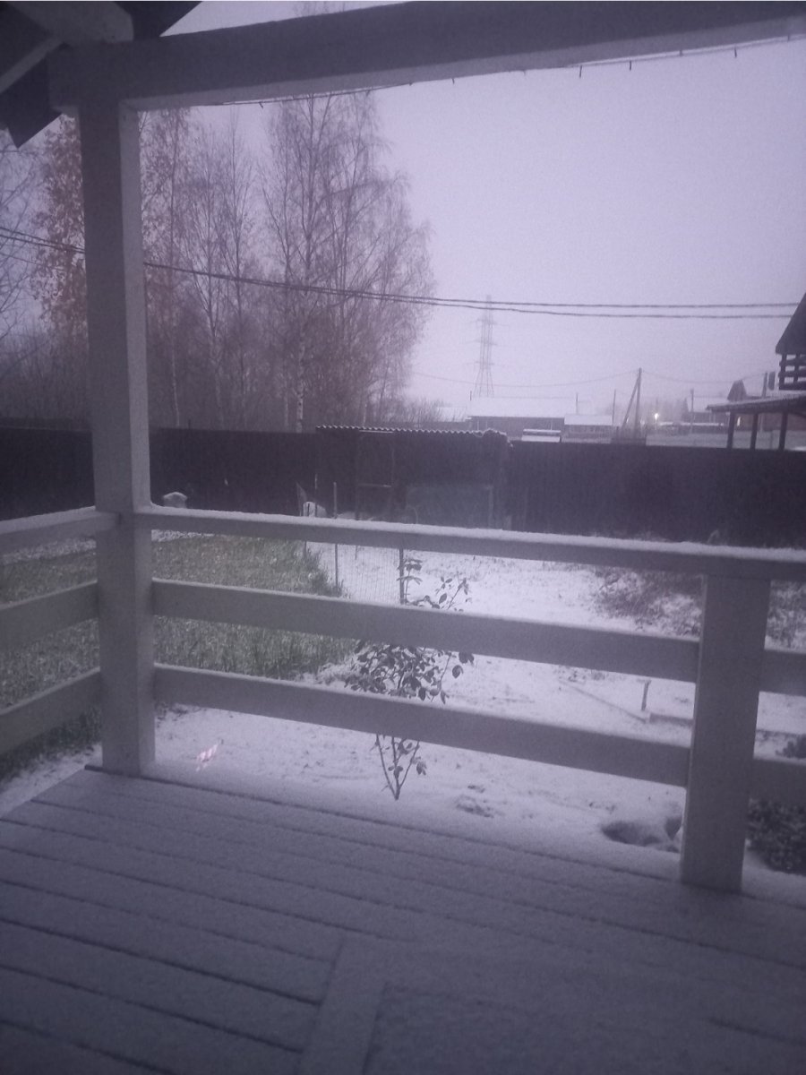 Screenshot_20221031-105712_Gallery.jpg