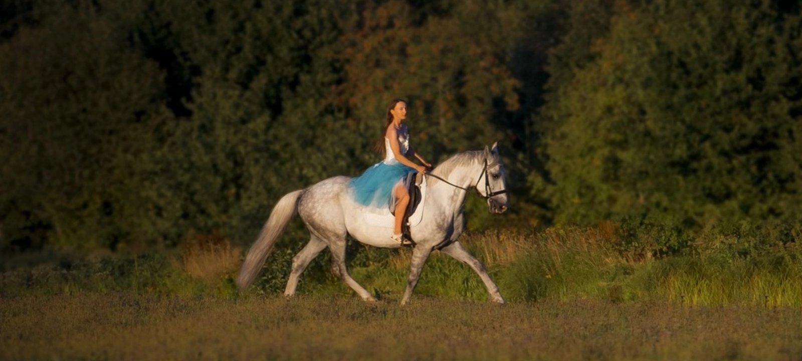 Screenshot_2023-08-30-23-17-58-635_com.vkontakte.android.jpg