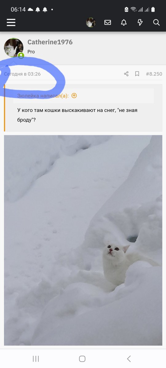 Screenshot_20230201_061432_Chrome.jpg