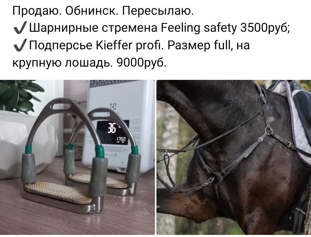 Screenshot_20230311-133404_VK.jpg