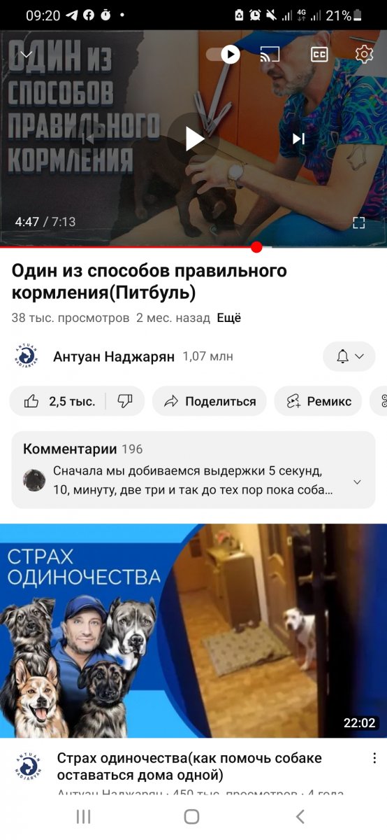 Screenshot_20230313-092012_YouTube.jpg