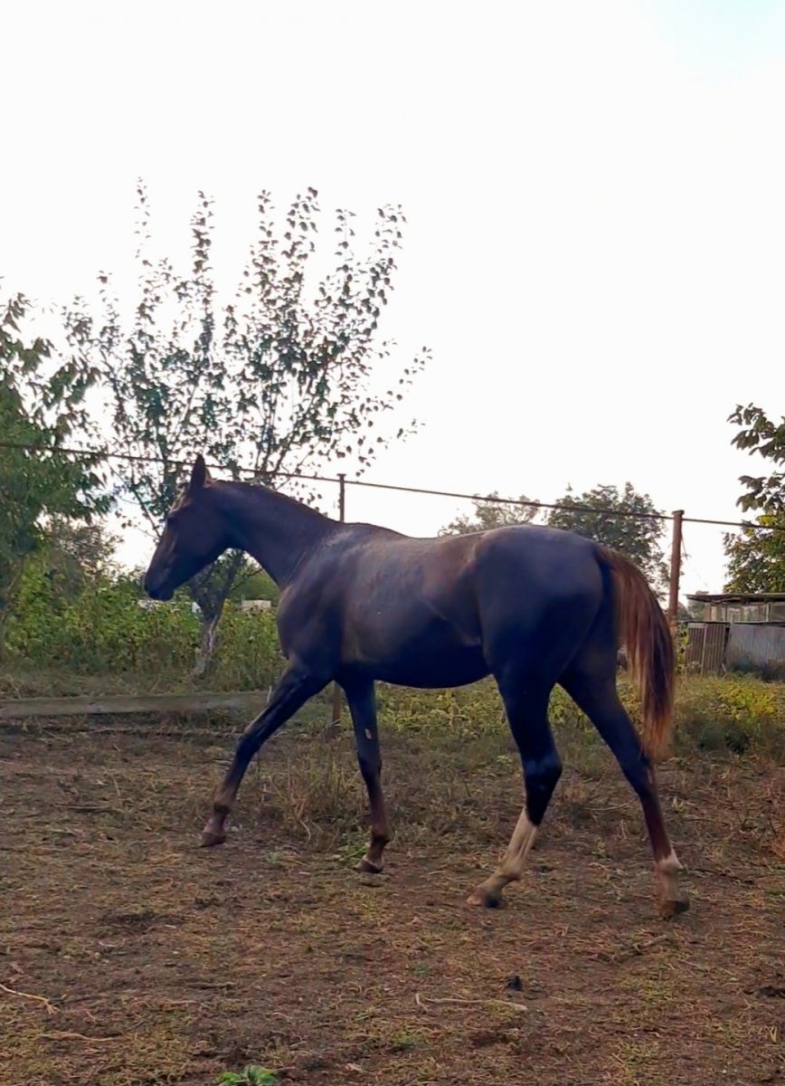 Screenshot_20230926-184659_Gallery.jpg