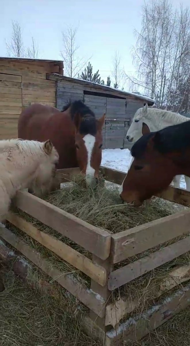 Screenshot_2024-02-11-12-19-04-109_com.vkontakte.android.jpg