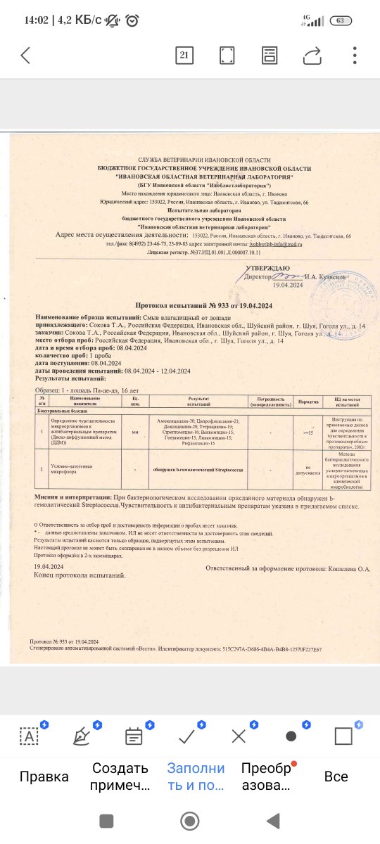 Screenshot_2024-04-20-14-02-01-450_cn.wps.moffice_eng.jpg