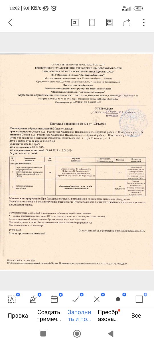 Screenshot_2024-04-20-14-02-11-647_cn.wps.moffice_eng.jpg
