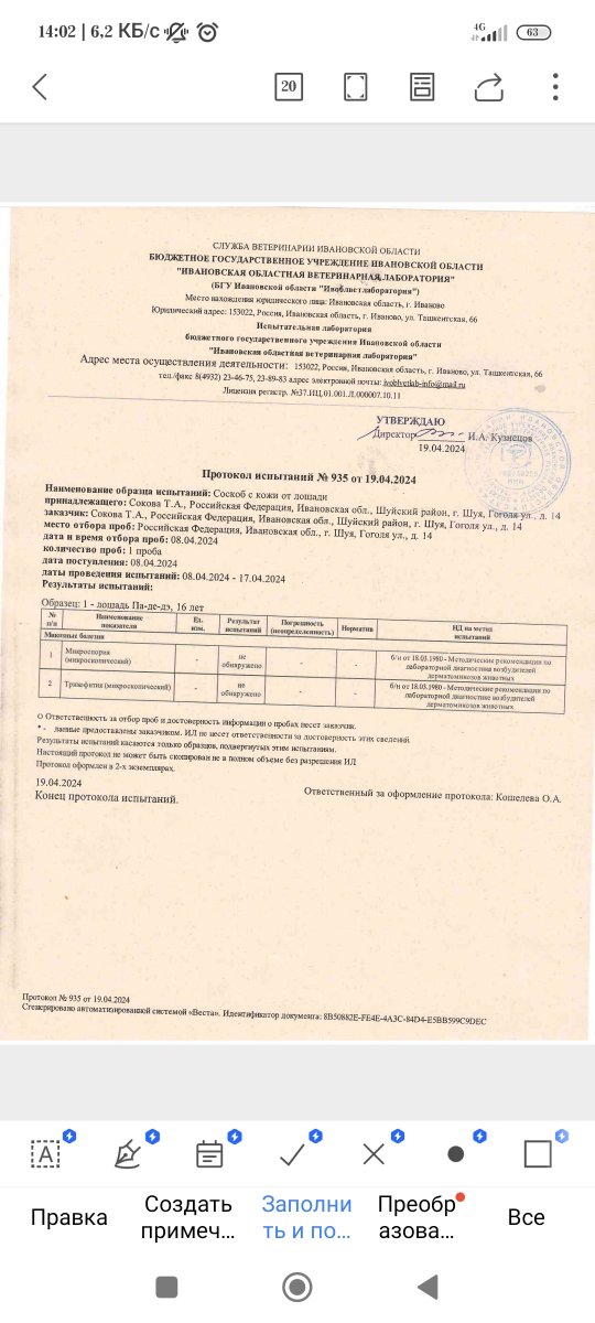 Screenshot_2024-04-20-14-02-22-235_cn.wps.moffice_eng.jpg