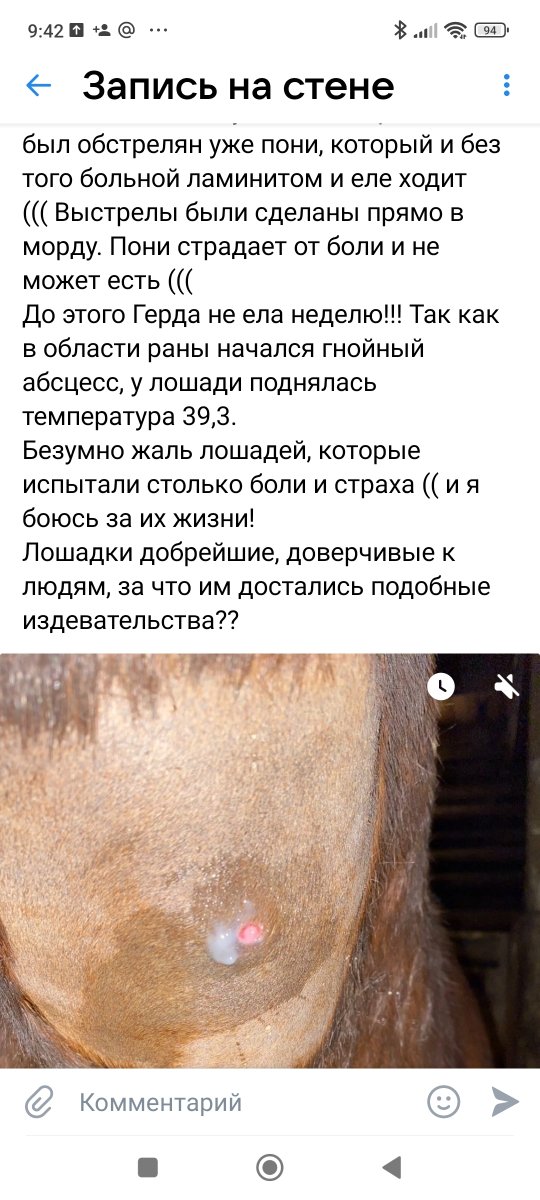 Screenshot_2024-05-04-09-42-56-717_com.vkontakte.android.jpg