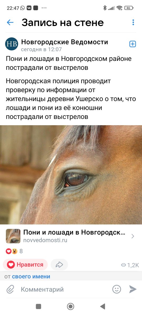 Screenshot_2024-05-04-22-47-52-475_com.vkontakte.android.jpg