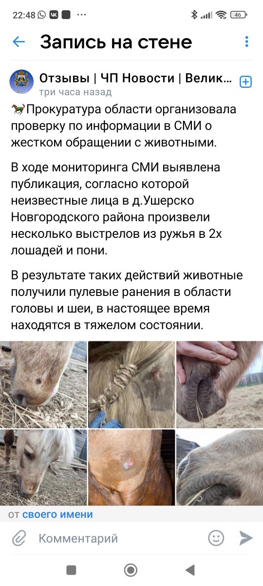 Screenshot_2024-05-04-22-48-20-082_com.vkontakte.android.jpg