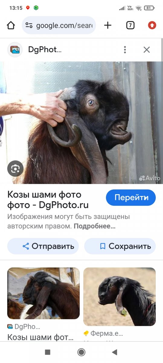 Screenshot_2024-06-21-13-15-44-542_com.android.chrome.jpg