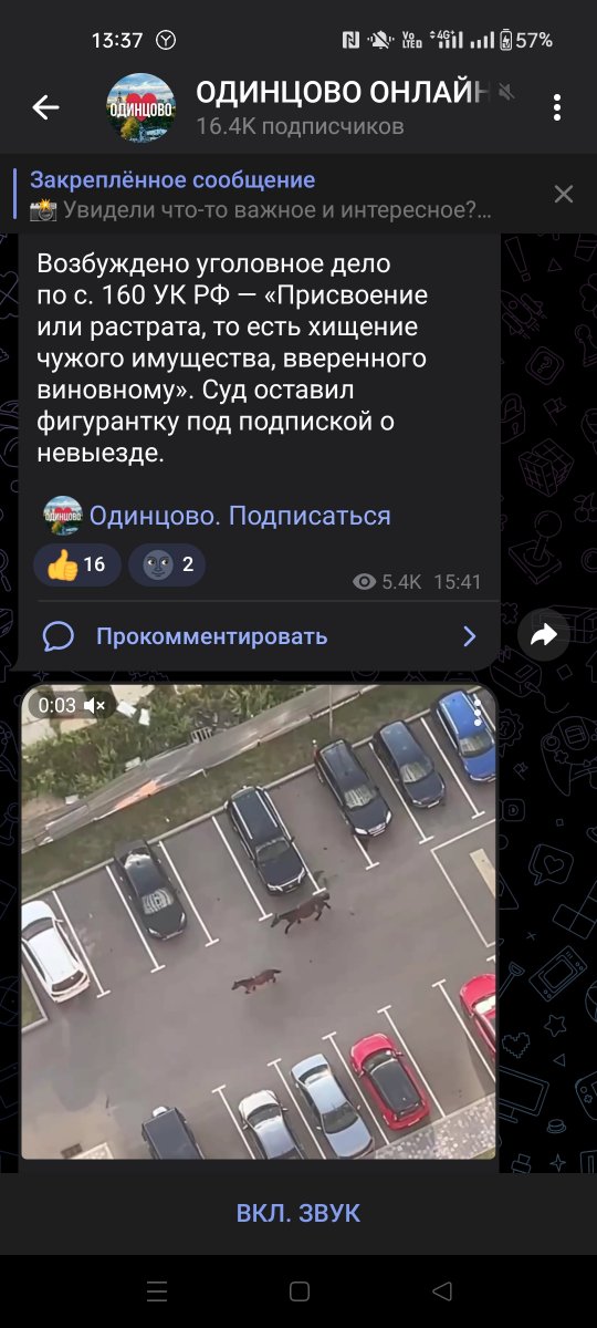 Screenshot_2024-07-31-13-37-33-80_948cd9899890cbd5c2798760b2b95377.jpg