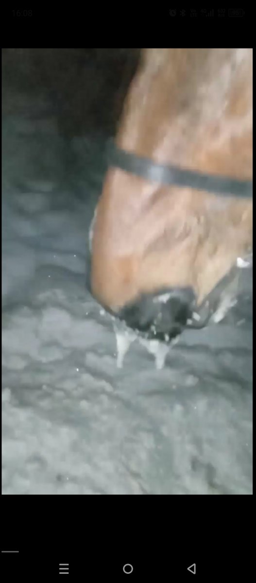 Screenshot_20240112-160821.jpg