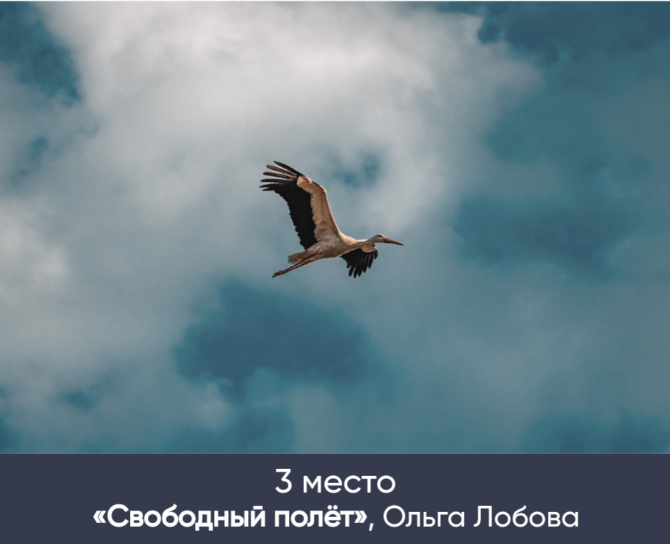 Screenshot_20240205-151115_Yandex Start.jpg