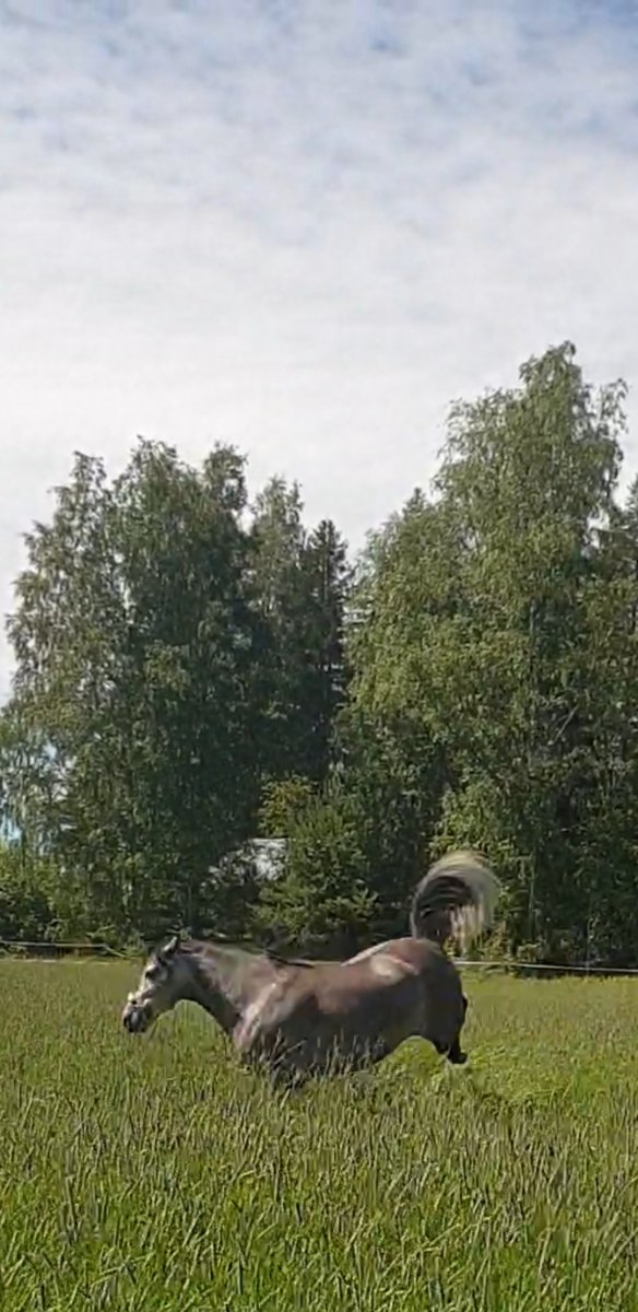 Screenshot_20240620-190824_Video Player.jpg
