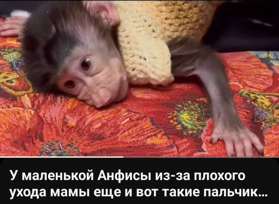 Screenshot_20250331_001910_YouTube.jpg