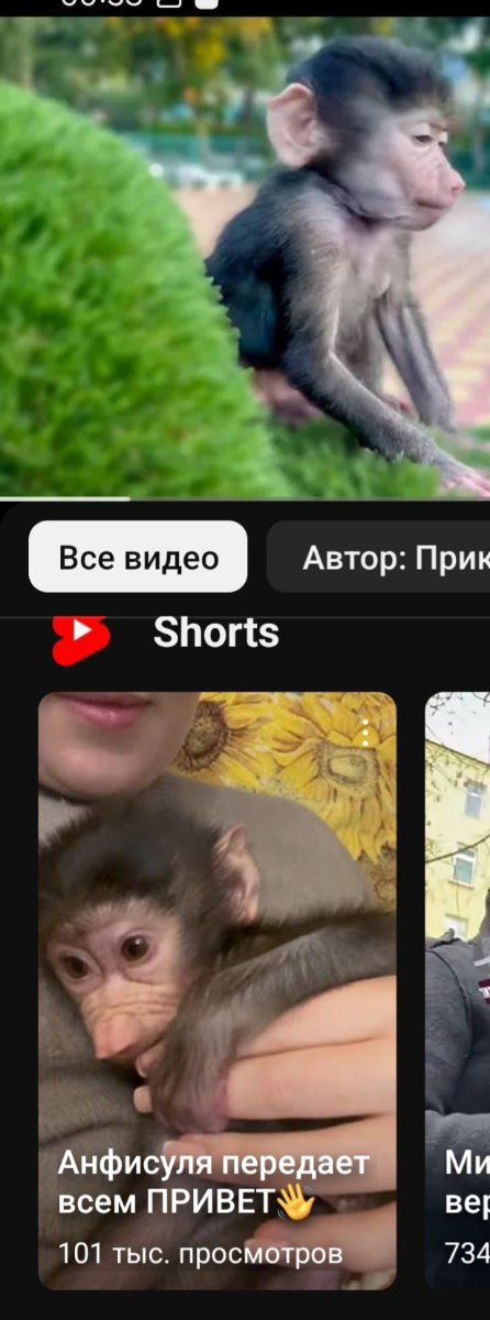 Screenshot_20250413_005323_YouTube.jpg