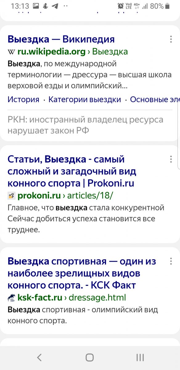 Screenshot_20250419-131332_Chrome.jpg