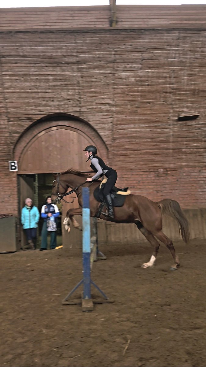 Screenshot_20250516_102925_Gallery.jpg
