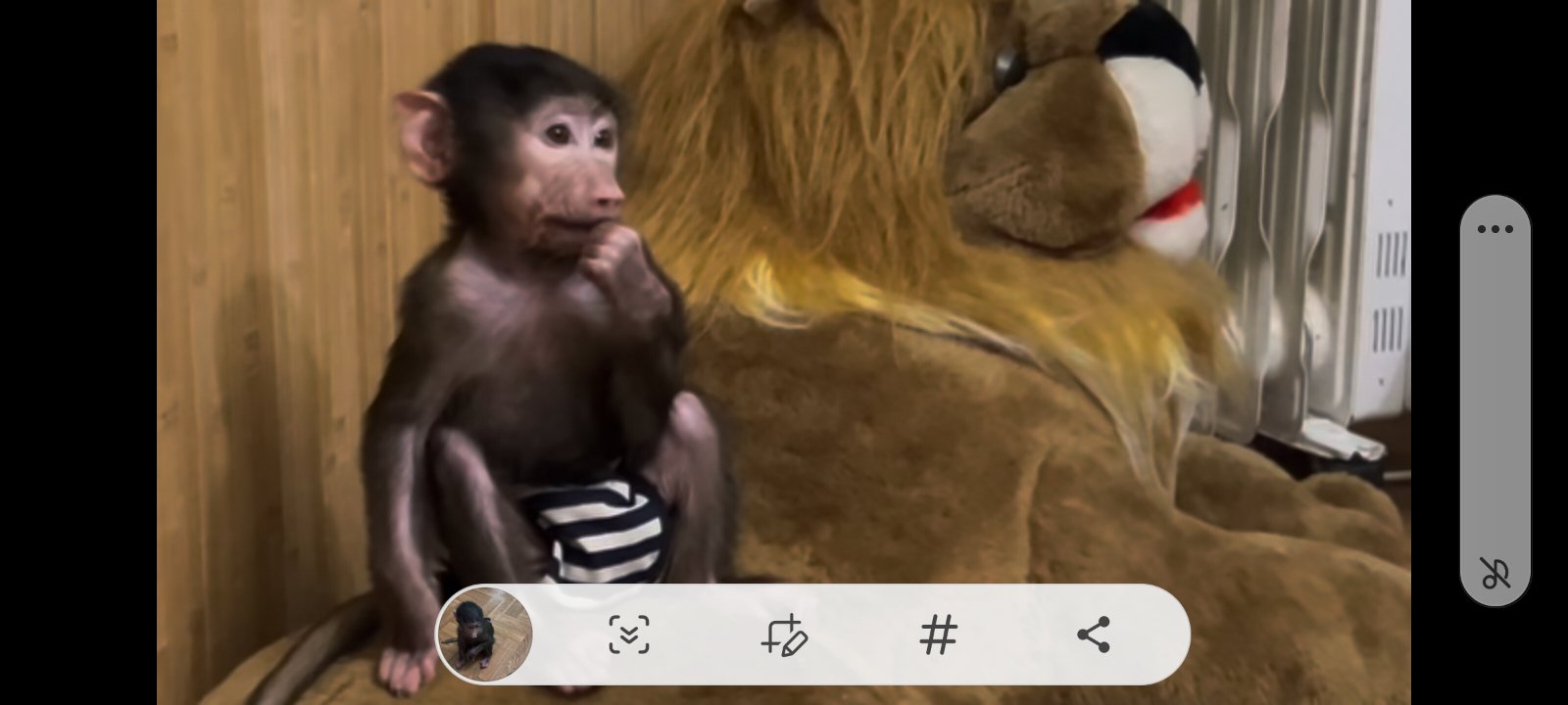 Screenshot_20250519_184023_YouTube.jpg