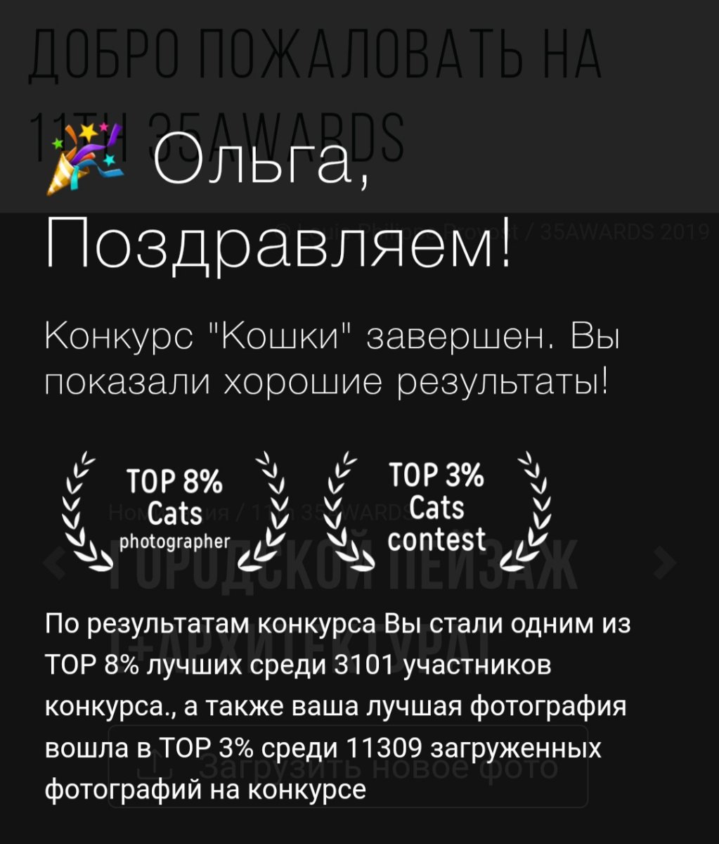 Screenshot_20250617-235158_Yandex Start.jpg
