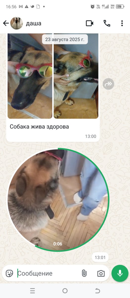 Screenshot_20250901-165615.jpg
