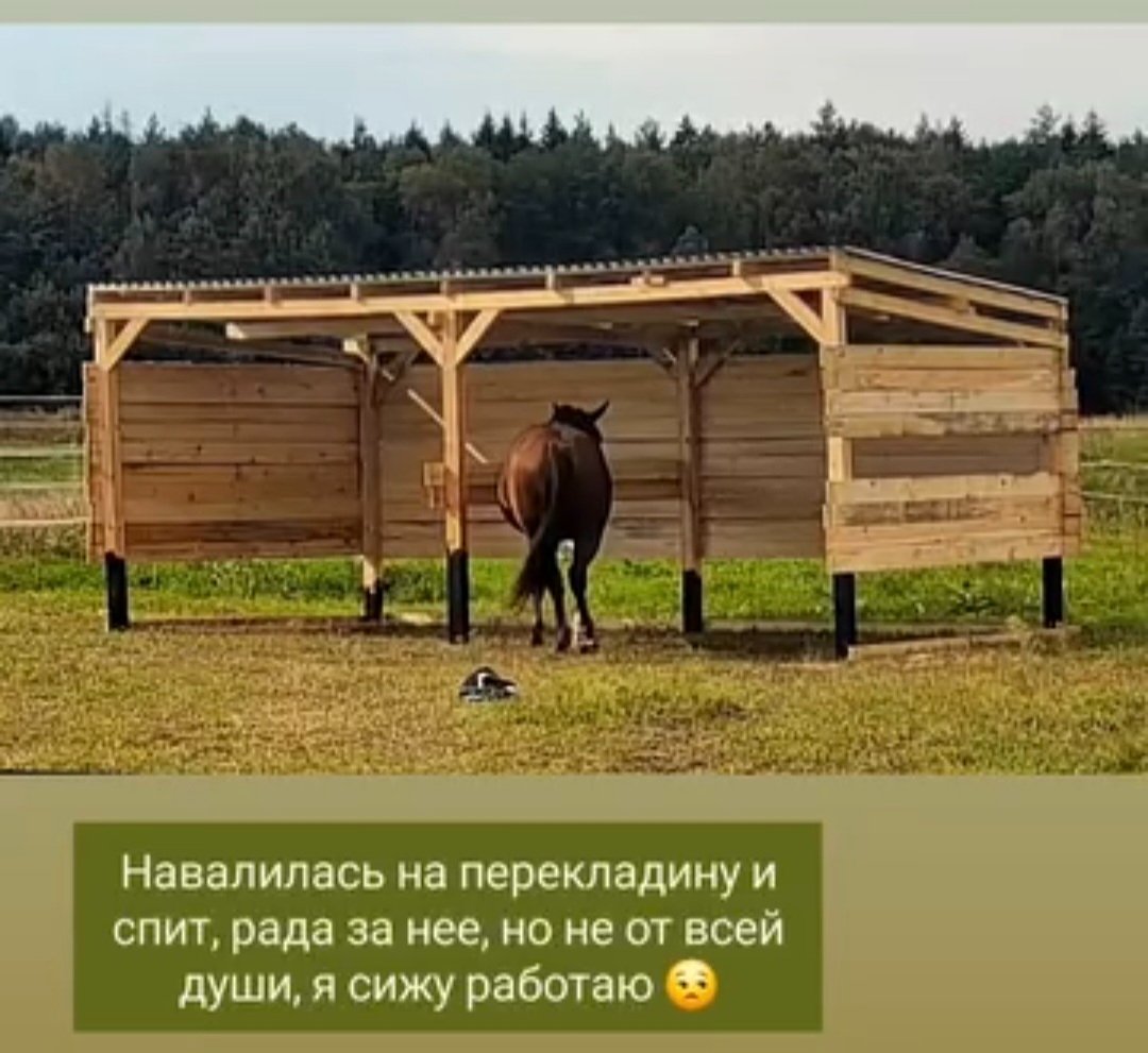 Screenshot_20250902_003726_Instagram(1).jpg