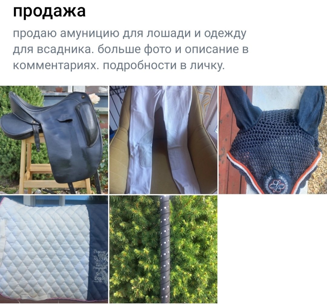 Screenshot_20250923-221341_VK.jpg