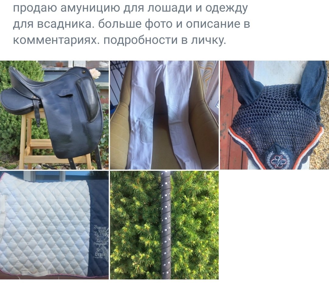 Screenshot_20250927-165213_VK.jpg