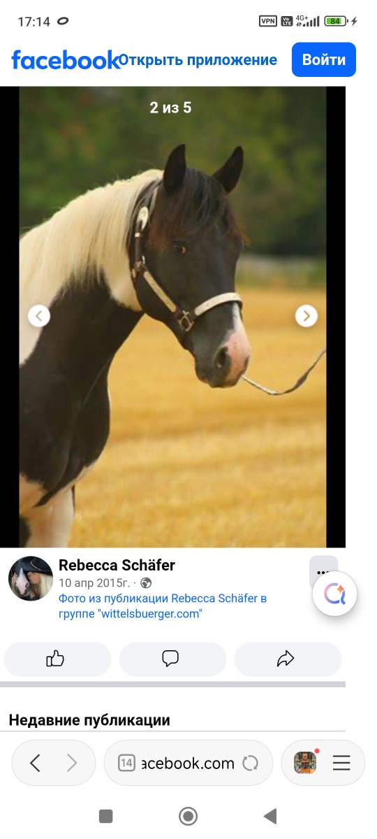 Screenshot_2026-05-04-17-14-38-851_com.mi.globalbrowser.jpg
