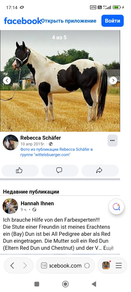 Screenshot_2026-05-04-17-15-00-009_com.mi.globalbrowser.jpg