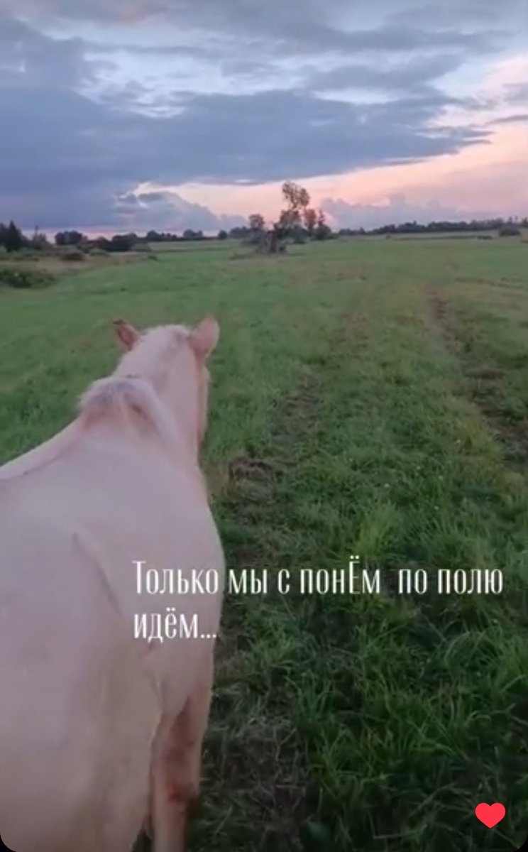 Screenshot_2026-08-08-11-41-13-181_com.vkontakte.android.jpg