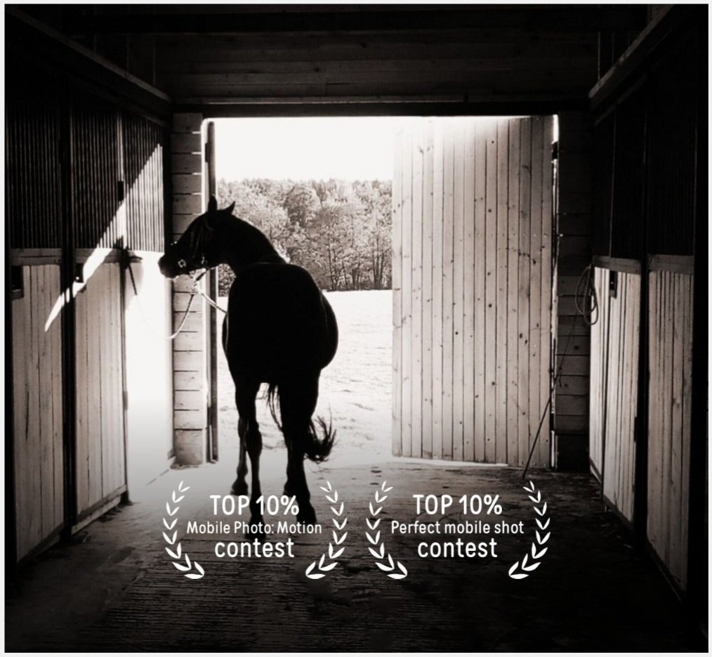 Screenshot_20260329-184948_Yandex Start.jpg