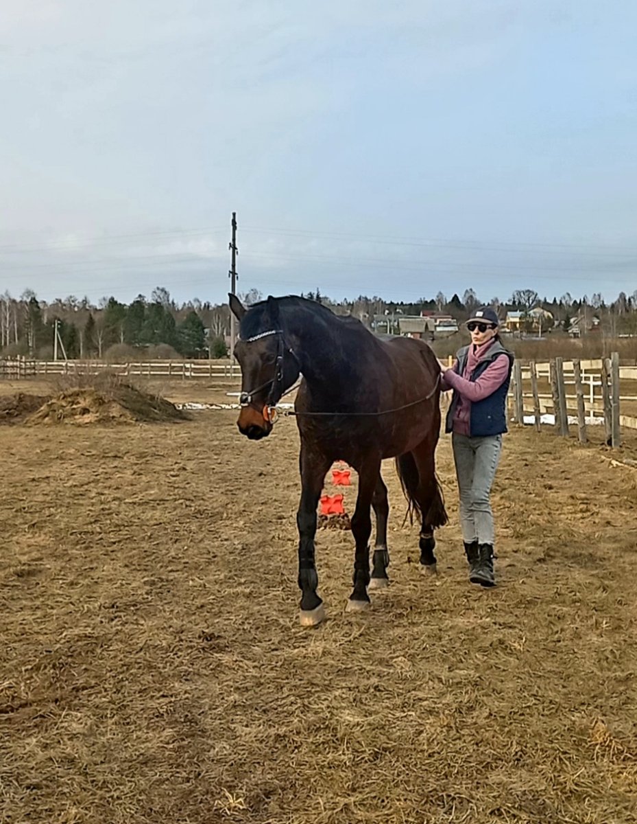 Screenshot_20260331-204033_Video Player.jpg