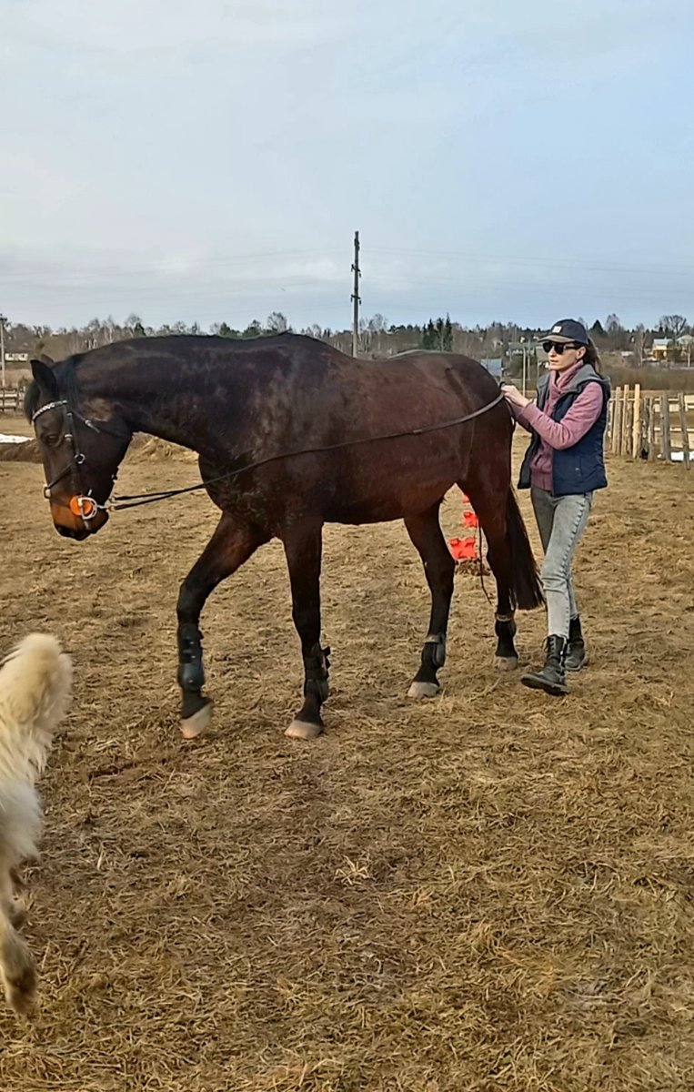 Screenshot_20260331-204047_Video Player.jpg