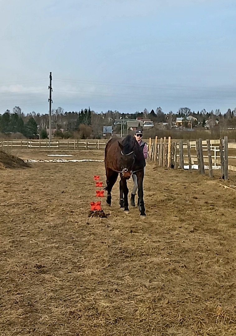 Screenshot_20260331-204123_Video Player.jpg